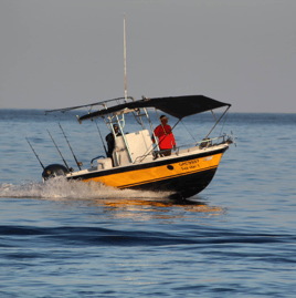 4-8 Hour Trip - Sportfishing