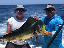 4-8 Hour Trip - Sportfishing