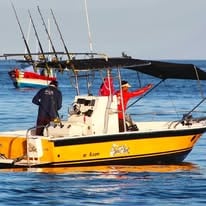 4-8 Hour Trip - Sportfishing