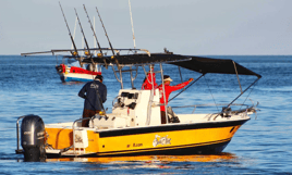 4-8 Hour Trip - Sportfishing