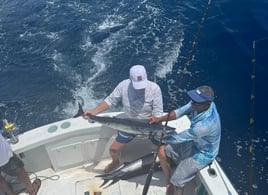 4-8 Hour Offshore Trip - 32'