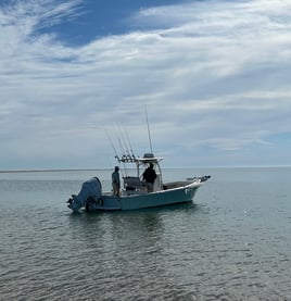 Barrier Island/Nearshore Fishing 