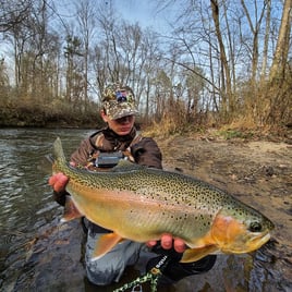 2-8 -Hours Wade Trips