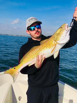 Galveston Bay Tarpon Hunt