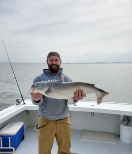 Spring Catfish Trip