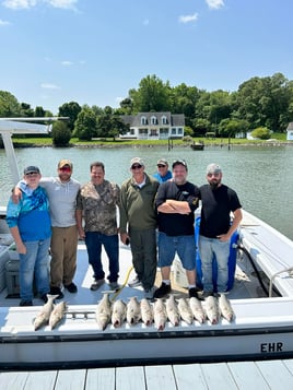 4-8 Hour Inshore Trip