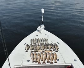 Extended Half Day Fishing Trip