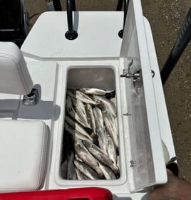 Extended Half Day Fishing Trip