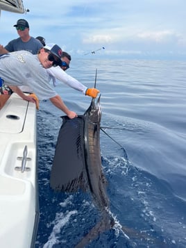 Sport Fishing Full-day