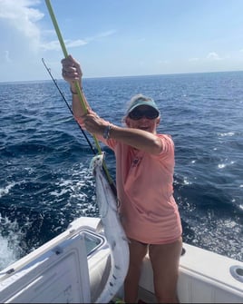 6-8 Hour Offshore Trip