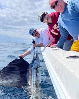 6-8 Hour Offshore Trip