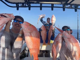 6-8 Hour Offshore Trip