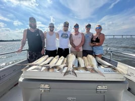 1/2 Day Trip – Rockfish Season