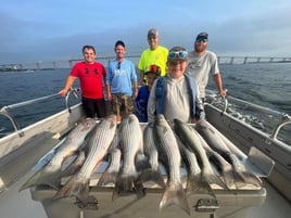 1/2 Day Trip – Rockfish Season