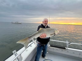 1/2 Day Trip – Rockfish Season