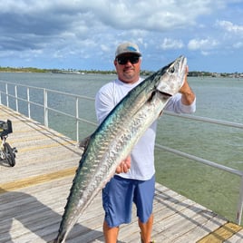 4-8 Hour Trip - Trolling /livebait