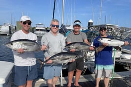 4-8 Hours Offshore Trip