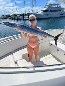 4-8 Hours Offshore Trip