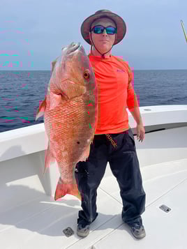 4-8 Hours Offshore Trip