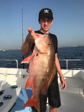 4-8 Hours Offshore Trip