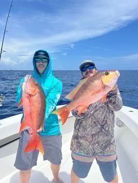 4-8 Hours Offshore Trip