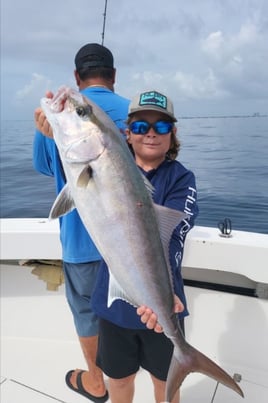 4-8 Hours Offshore Trip