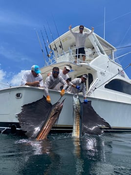 Sport Fishing Full-day