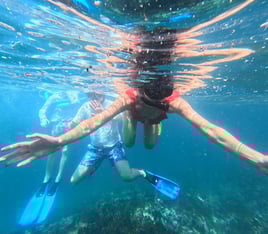 Snorkeling