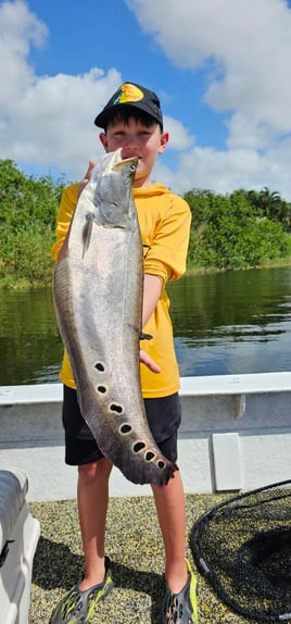 Guaranteed Peacock bass and more