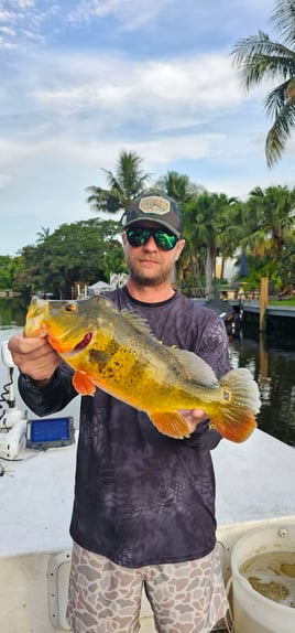 Guaranteed Peacock bass and more