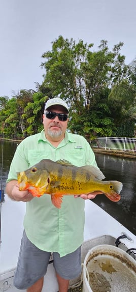 Guaranteed Peacock bass and more