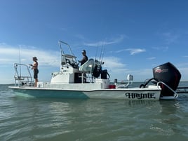 Wade fishing with artificial lures 