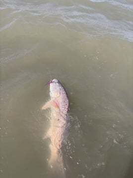 Wade fishing with artificial lures 