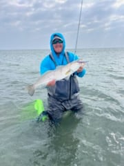 Wade fishing with artificial lures 