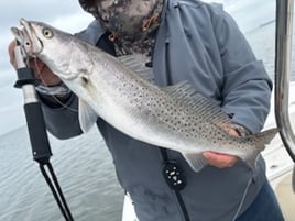 Wade fishing with artificial lures 