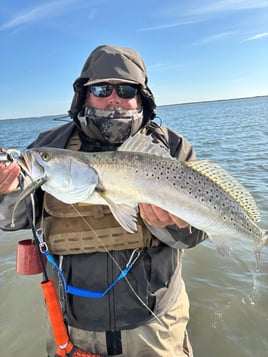 Wade Fishing With Artificial Lures 