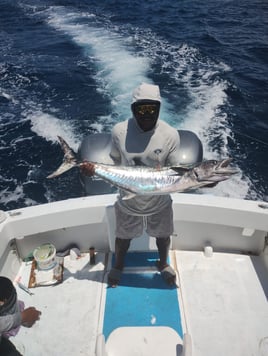 Makaira “Big Game Fishing”