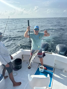 Makaira “Big Game Fishing”