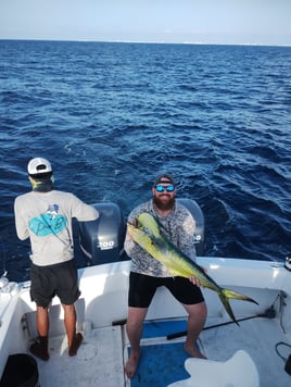 Makaira “Big Game Fishing”