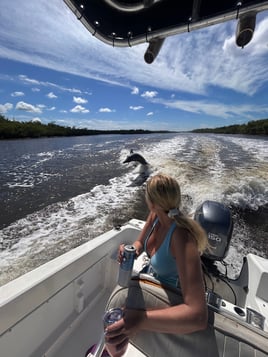 Dolphin,Manatees,Birdwatching 