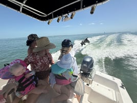 Dolphin,Manatees,Birdwatching 