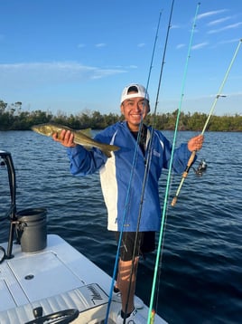 4-6 Hours Inshore Trip