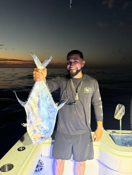 American Red Snapper Trip