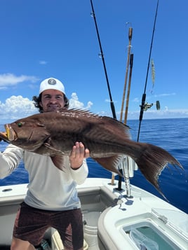 American Red Snapper Trip