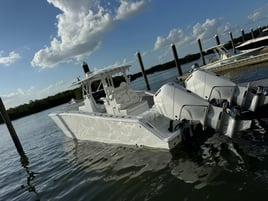 American Red Snapper Trip