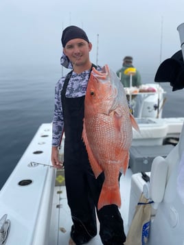 American Red Snapper Trip