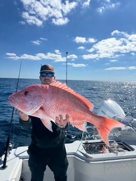 American Red Snapper Trip