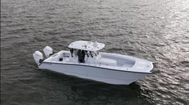 American Red Snapper Trip