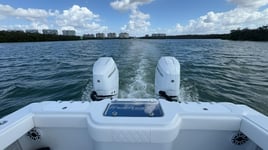 4-8 Hour Offshore Trip