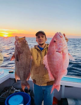 4-8 Hour Offshore Trip